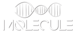 Molecule